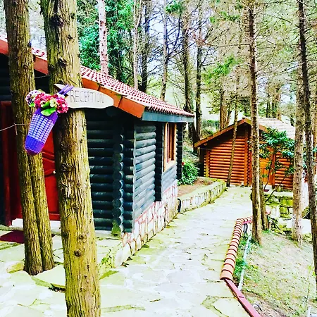 Hotel Orman Evleri Forest Ağva