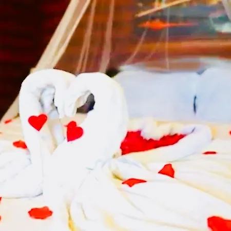 Orman Evleri Forest Ağva