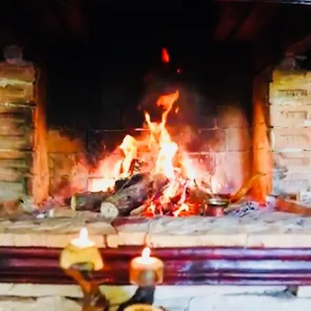 Hotel Orman Evleri Forest