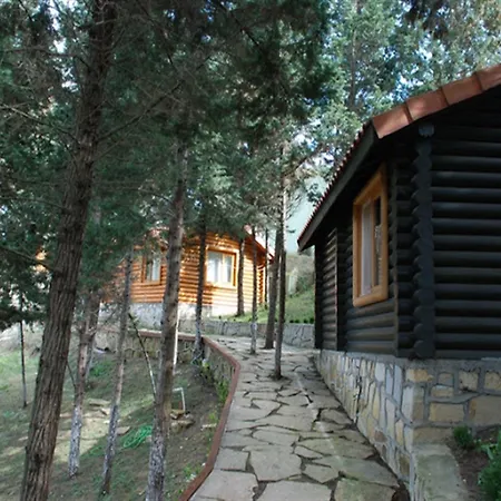 Orman Evleri Forest 2* Ağva
