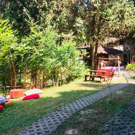 Orman Evleri Forest 2* Ağva