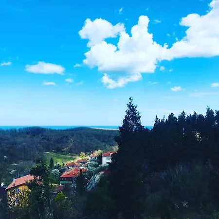 Hotel Orman Evleri Forest