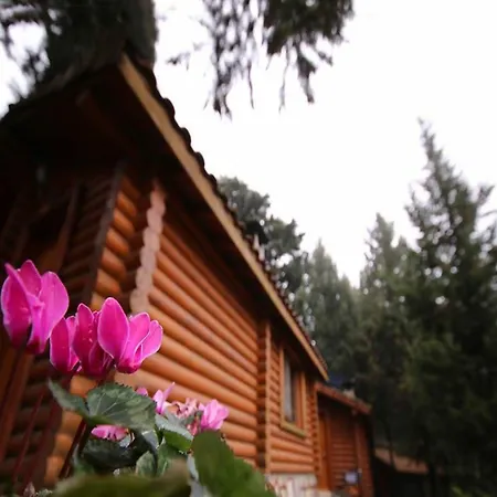 Orman Evleri Forest 2*