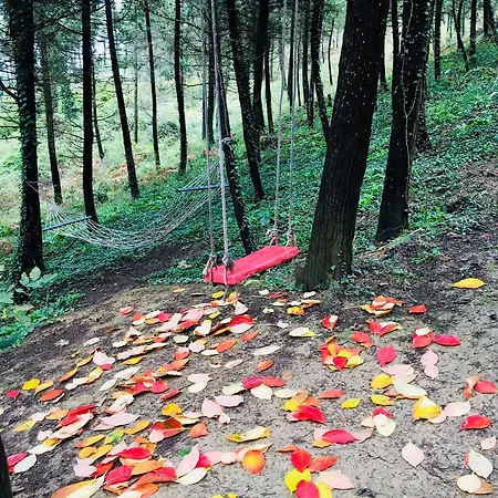 Hotel Orman Evleri Forest 2*