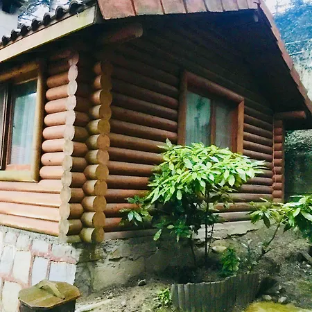 Hotel Orman Evleri Forest Ağva