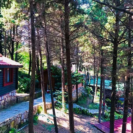 Orman Evleri Forest 2* Ağva