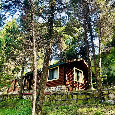 Orman Evleri Forest Hotel