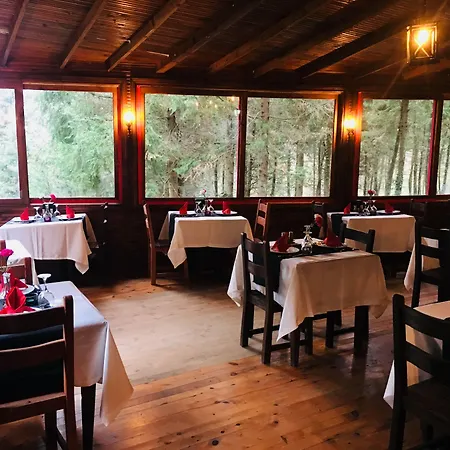 Orman Evleri Forest Ağva