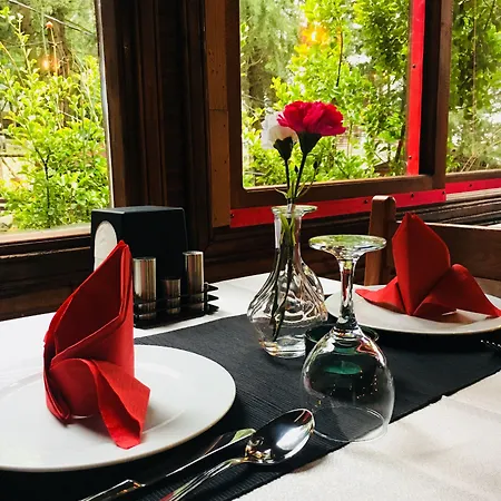 Orman Evleri Forest 2* Ağva