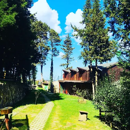 Orman Evleri Forest Ağva