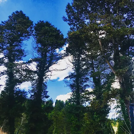 Orman Evleri Forest 2*