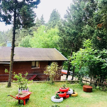 Hotel Orman Evleri Forest Ağva