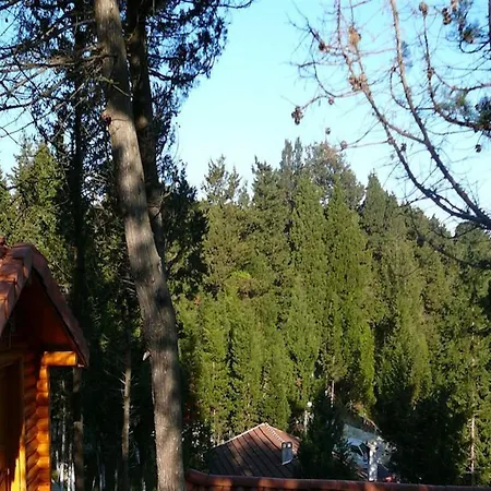Hotel Orman Evleri Forest 2*