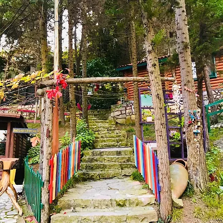 Orman Evleri Forest 2* Ağva