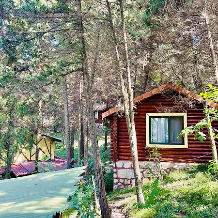 Orman Evleri Forest Ağva