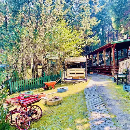 Hotel Orman Evleri Forest 2*