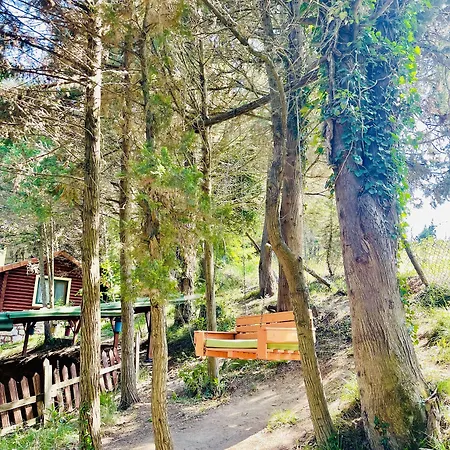 Orman Evleri Forest Hotel 2*