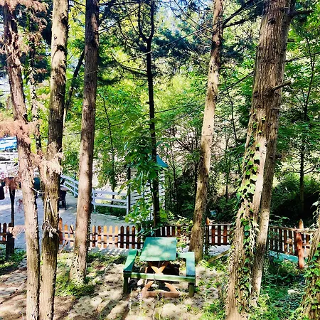 Hotel Orman Evleri Forest Ağva