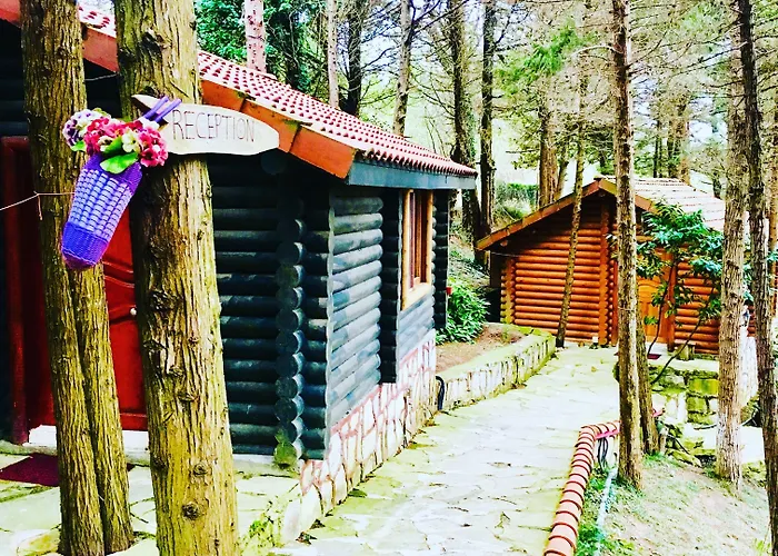 מלון Orman Evleri Forest Ağva