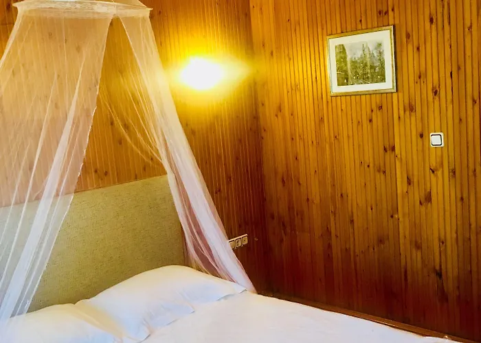 Orman Evleri Forest Ağva