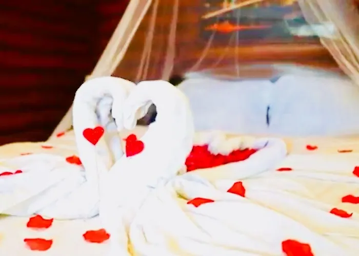 Orman Evleri Forest Ağva