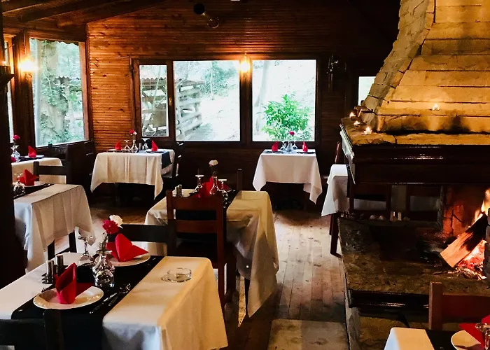 Orman Evleri Forest 2* Ağva