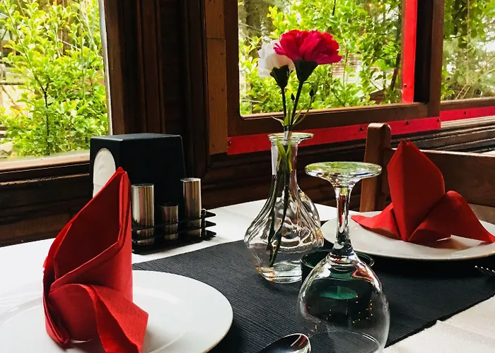 Orman Evleri Forest 2* Ağva