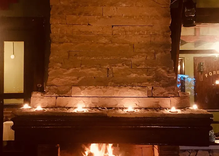 מלון Orman Evleri Forest