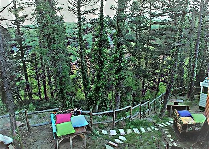 Orman Evleri Forest 2* Ağva