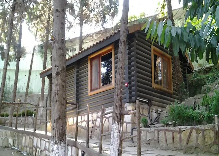 Orman Evleri Forest 2* Ağva