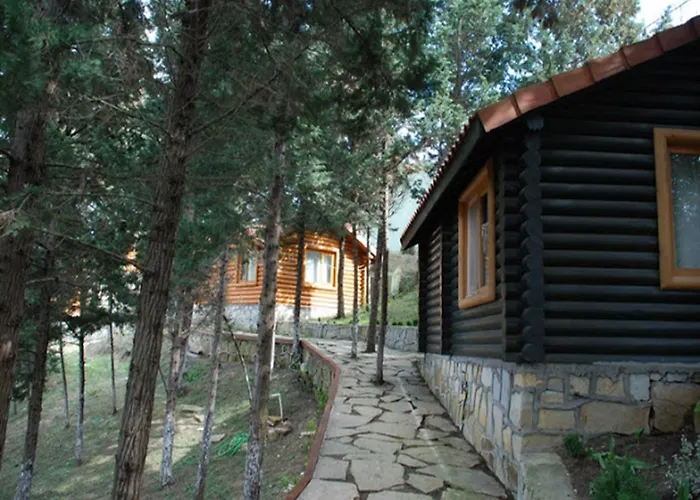 Orman Evleri Forest 2* Ağva