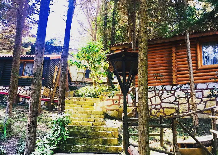 Orman Evleri Forest Ağva