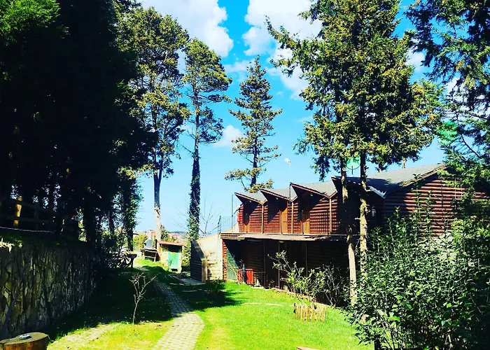 Orman Evleri Forest Ağva