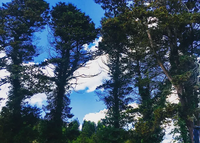 Orman Evleri Forest 2*