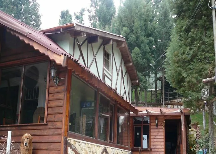 מלון Orman Evleri Forest 2*