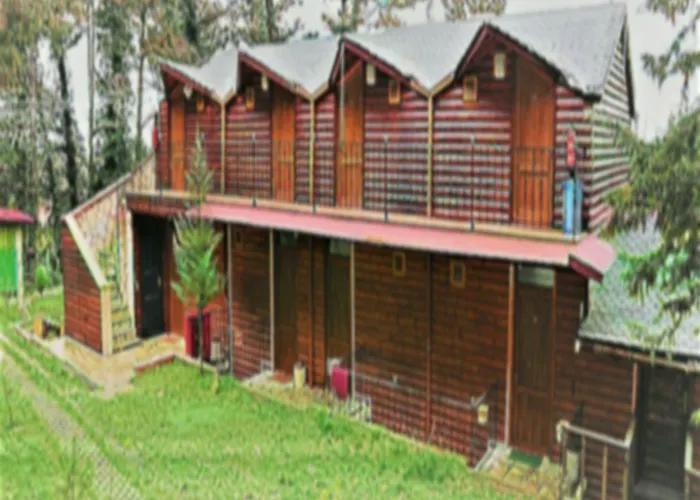 מלון Orman Evleri Forest