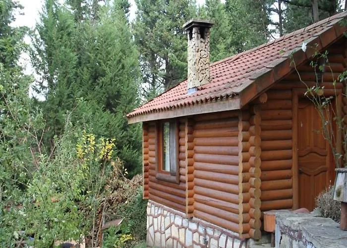 Orman Evleri Forest 2*