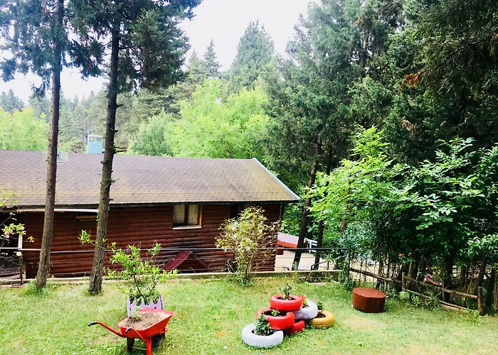 מלון Orman Evleri Forest Ağva