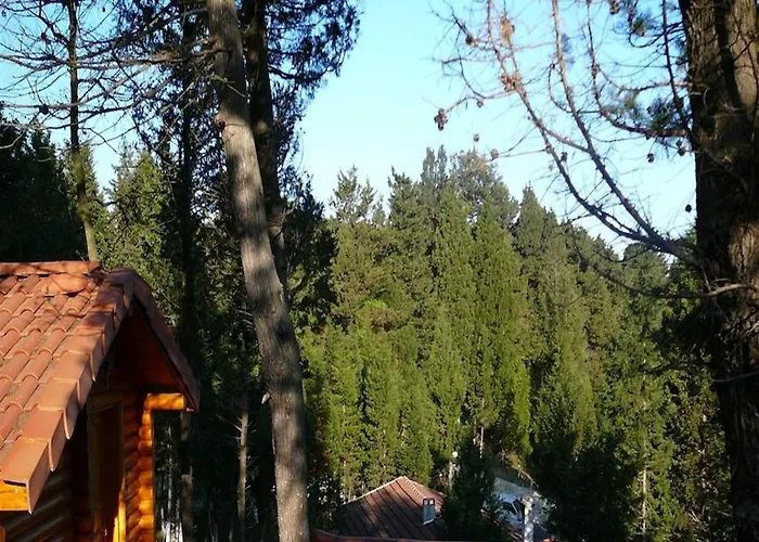 מלון Orman Evleri Forest 2*