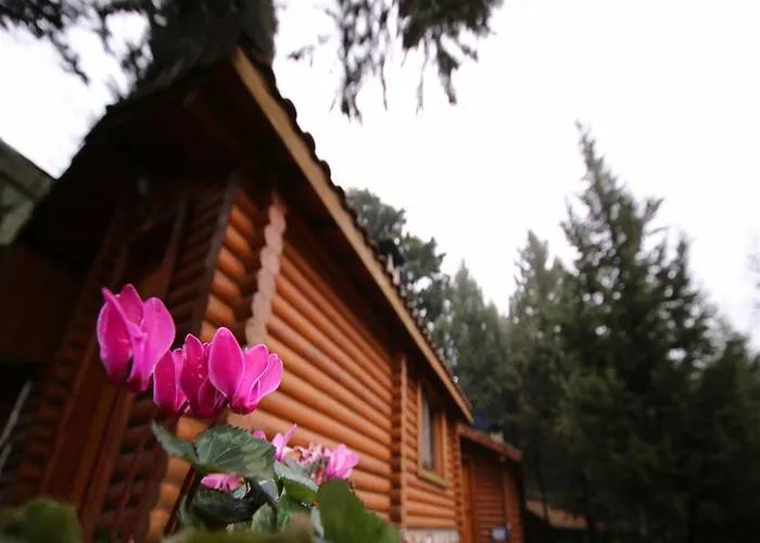 Orman Evleri Forest 2*