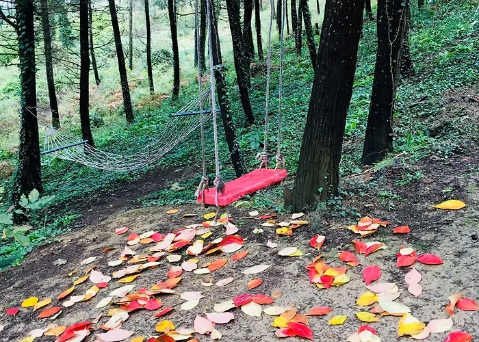 מלון Orman Evleri Forest 2*