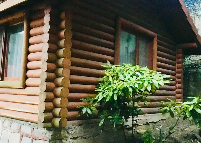 מלון Orman Evleri Forest Ağva