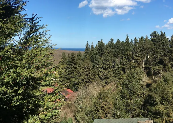 Orman Evleri Forest מלון