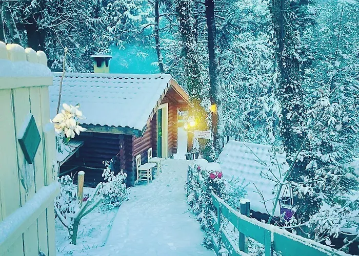 Orman Evleri Forest מלון