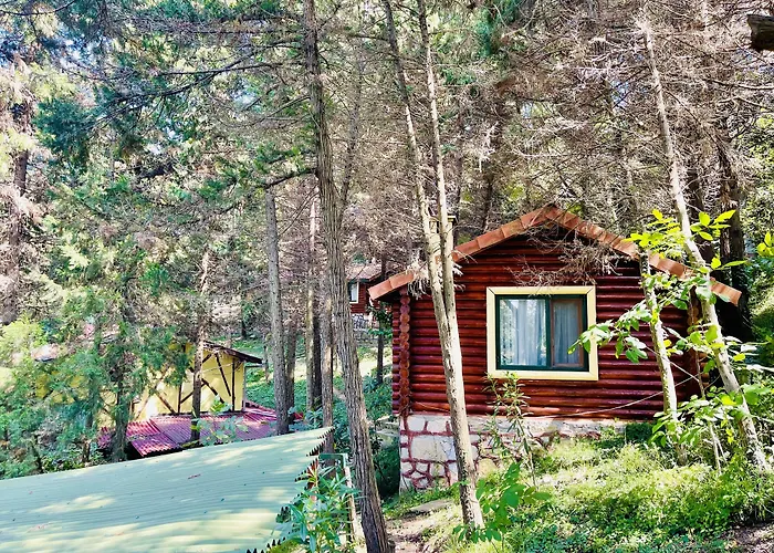 Orman Evleri Forest Ağva