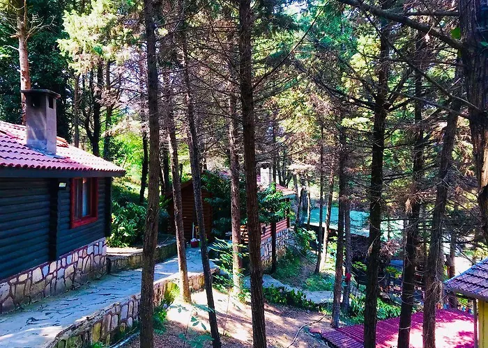 Orman Evleri Forest 2* Ağva