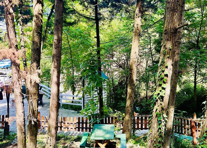 מלון Orman Evleri Forest Ağva