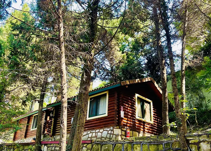 Orman Evleri Forest מלון